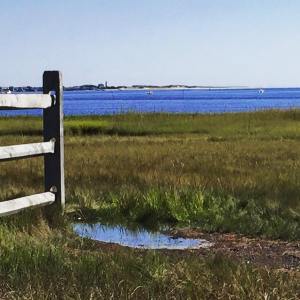 11986513_10153579635257145_7824273082983617900_n